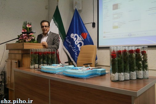گزارش تصویری/ گرامیداشت روز پزشک در بهداشت و درمان صنعت نفت فارس و هرمزگان 10