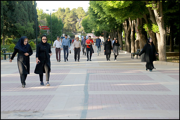 گزارش تصویری/ پیاده روی هفته سلامت در بهداشت و درمان صنعت نفت فارس و هرمزگان 2