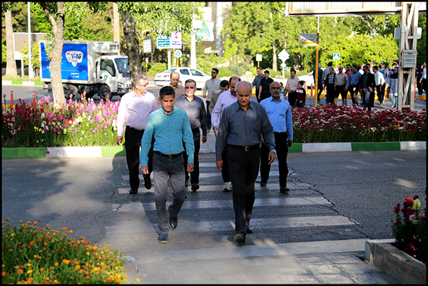 گزارش تصویری/ پیاده روی هفته سلامت در بهداشت و درمان صنعت نفت فارس و هرمزگان 12