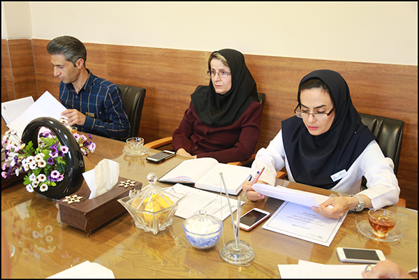 برگزاری کمیته راهبردی سیستم مدیریت HSE در بهداشت و درمان صنعت نفت فارس و هرمزگان+ گزارش تصویری 5