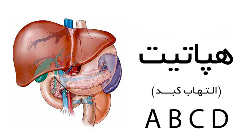 از سیر تا پیاز درباره هپاتیت 2
