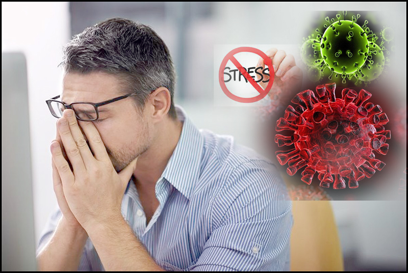 استرس و کرونا 1