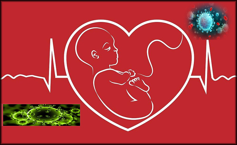 ارتقاء آگاهی سلامت بارداری متناسب با شرایط اپیدمی کووید 19 1