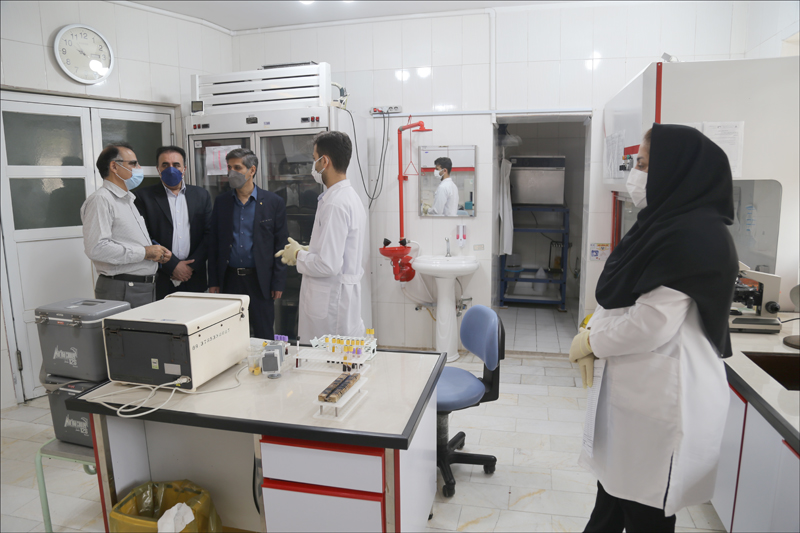 بازدید رییس بهداشت و درمان صنعت نفت فارس و هرمزگان از منطقه هرمزگان 19