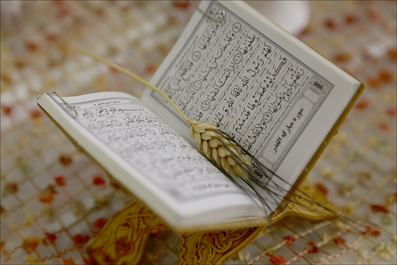 سفره هفت سین همکاران 4