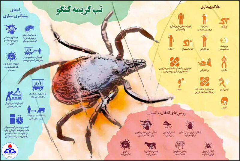 بیماری " تب کریمه کنگو" نسبت به سال گذشته افزایش چشمگیر داشته است 1