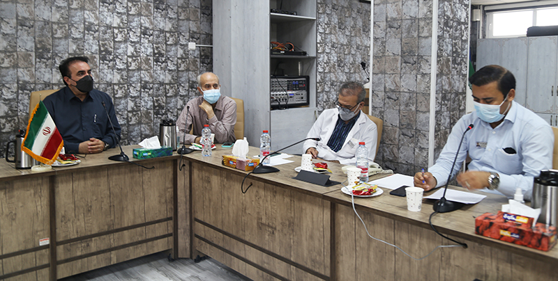 بیست و پنجمین کمیته بحران