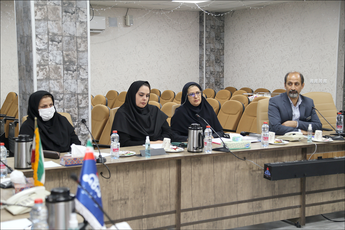 نخستین کمیته سلامت روان 1402 19