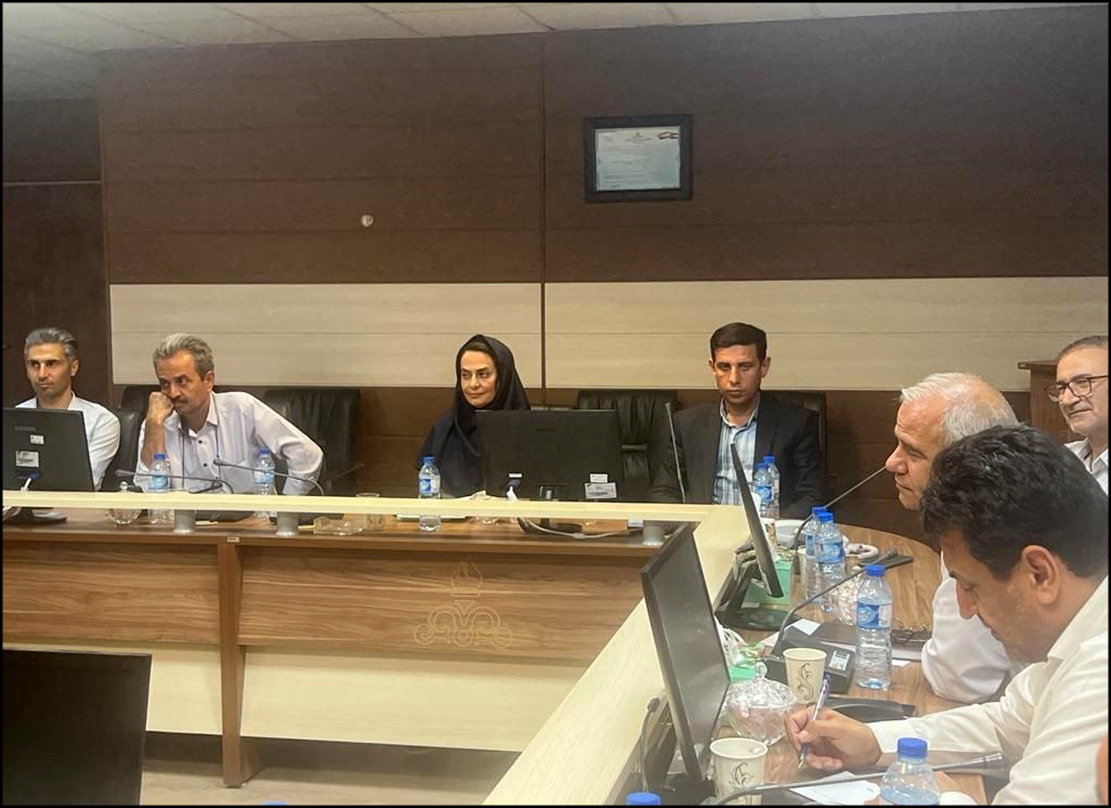 از منطقه عملیاتی سعادت آباد و سروستان بازدید به عمل آمد 4