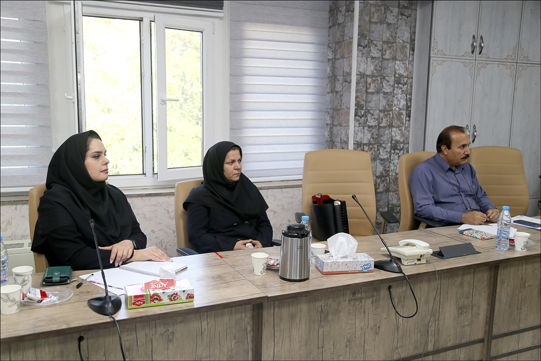 نشست هماهنگی برنامه های هفته سلامت روان 1402 برگزار شد  3