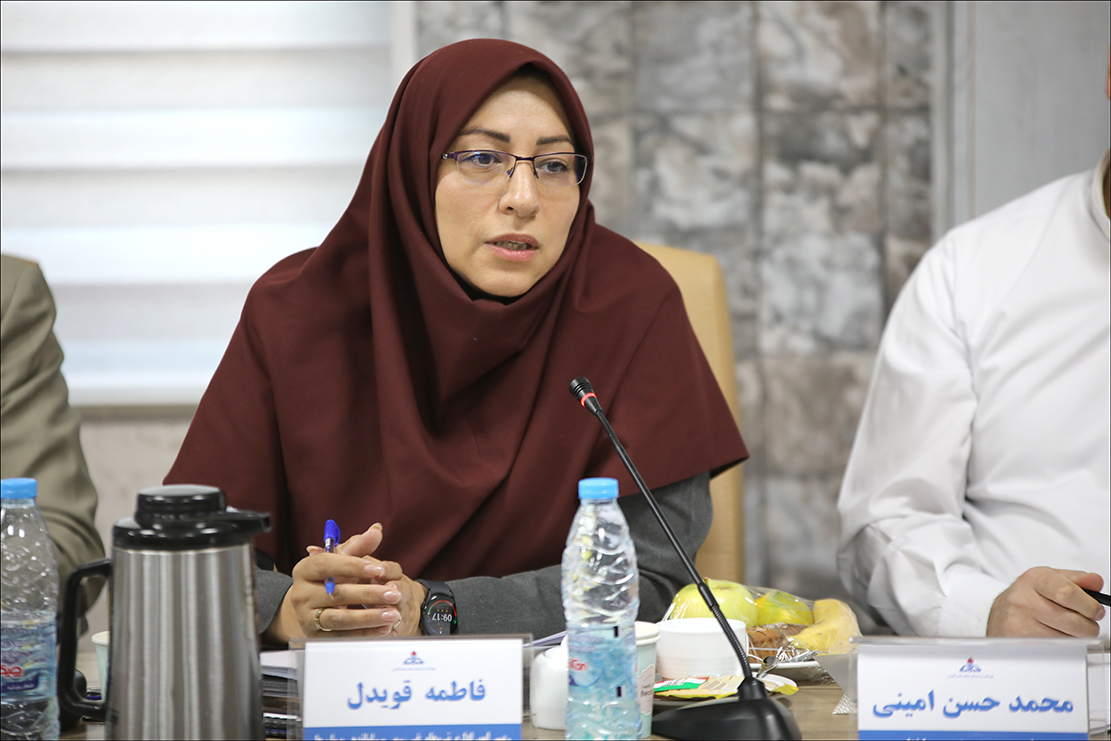 نشست مشترک مدیران مهندسی ساختار شرکت ملی نفت و سازمان بهداشت و درمان در شیراز 13