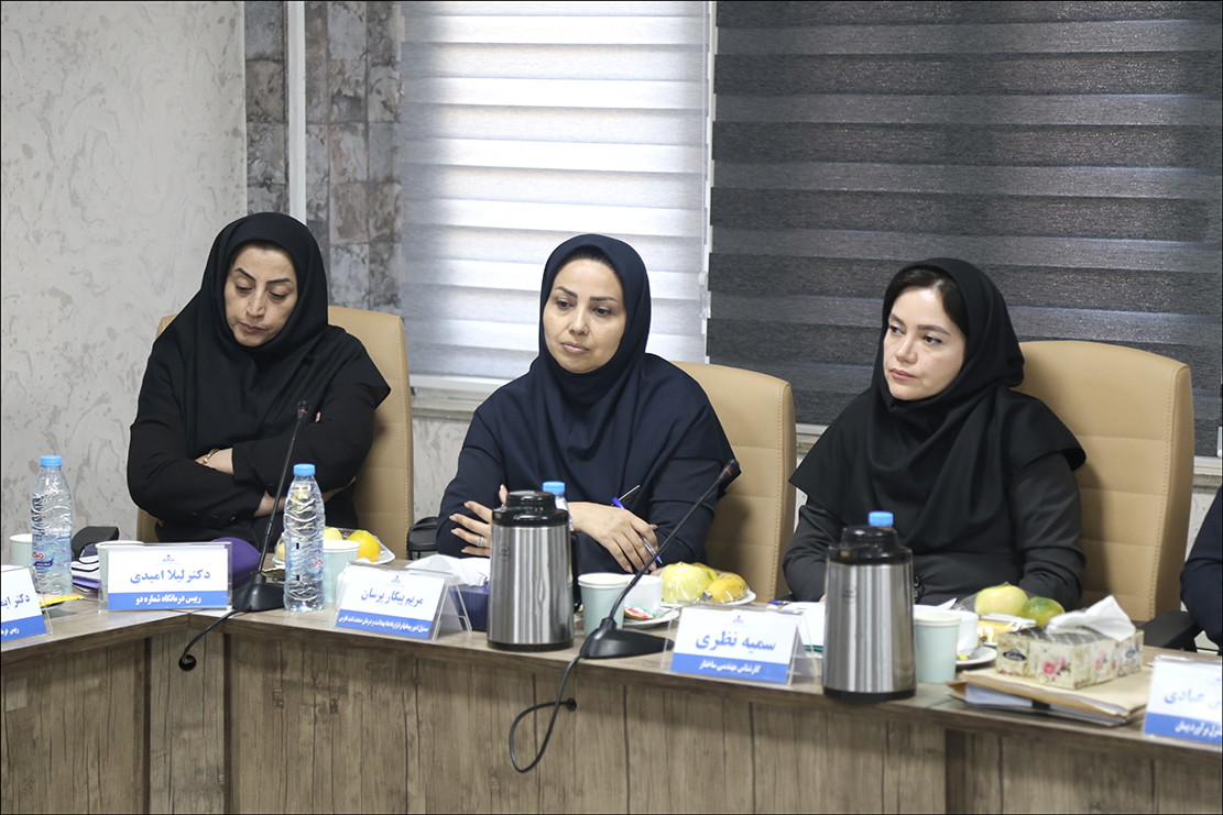 نشست مشترک مدیران مهندسی ساختار شرکت ملی نفت و سازمان بهداشت و درمان در شیراز 31