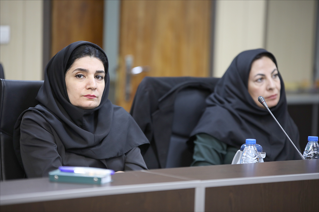 نشست هم اندیشی ارتقاء سطح سلامت شاغلین 67