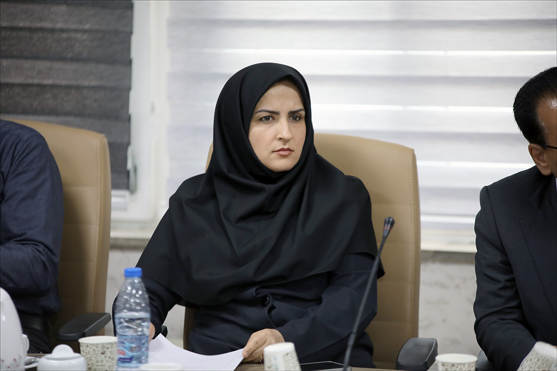 نشست هم اندیشی روسا و کارشناسان HSE شرکت های نفتی فارس برگزار شد 26