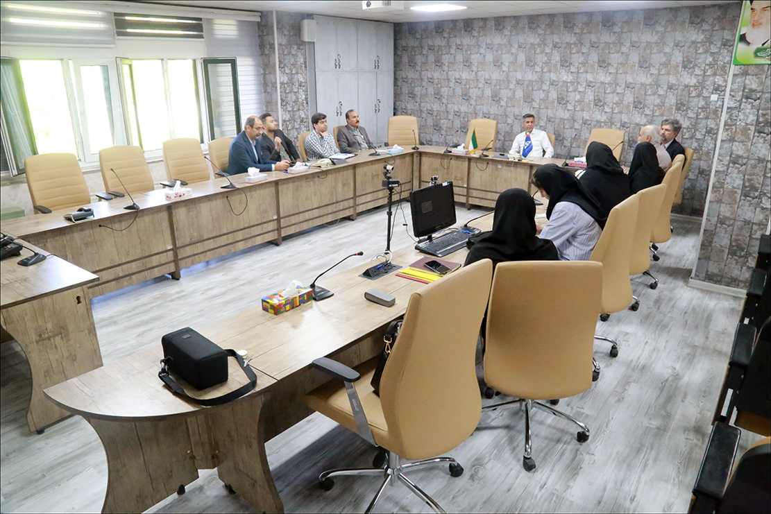 برگزاری نخستین کمیته سلامت روان سال 1403 در بهداشت و درمان صنعت نفت فارس+ گزارش تصویری 21