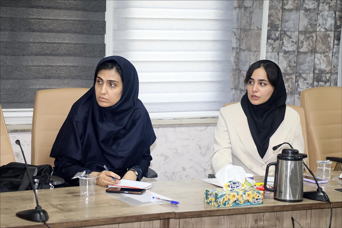 داروسازان و بازرسان دارویی مناطق در بهداشت و درمان صنعت نفت فارس آموزش دیدند 5