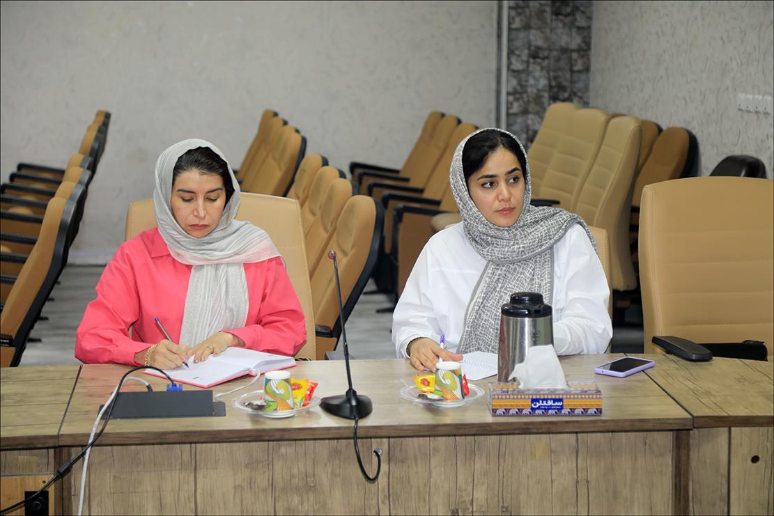 داروسازان و بازرسان دارویی مناطق در بهداشت و درمان صنعت نفت فارس آموزش دیدند 2