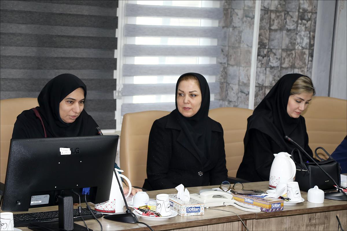 روز دوم همایش سلامت نگار 1