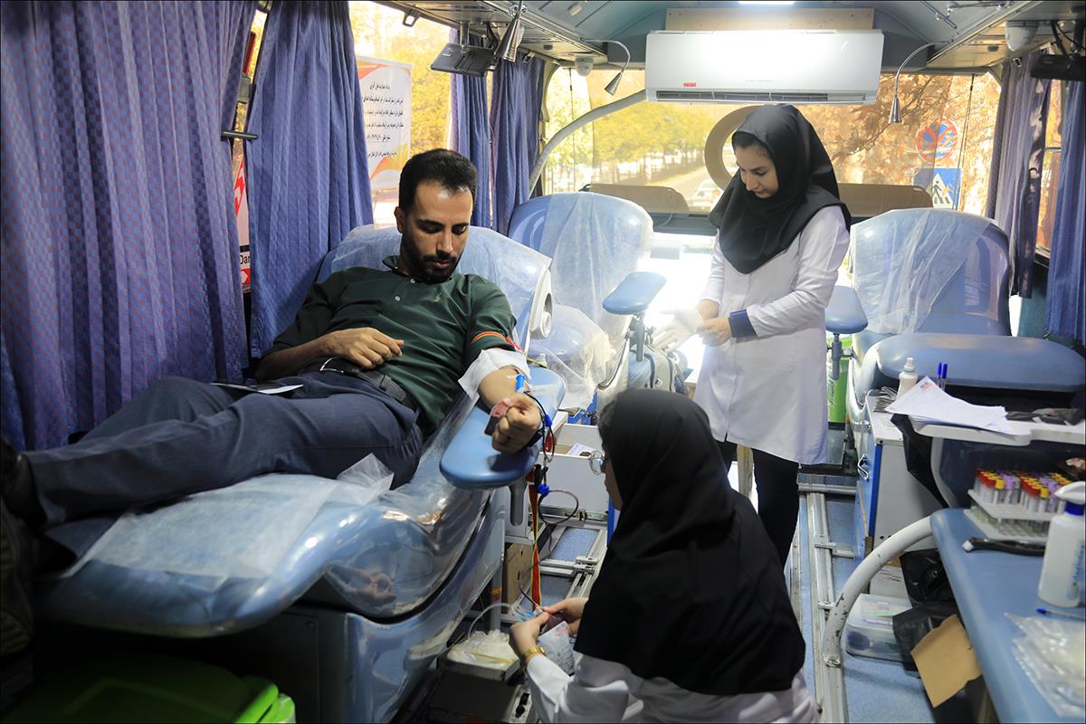 دهه فجر/سایر 17