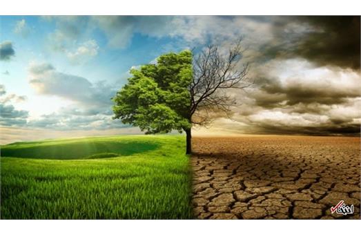 بنر هفته سلامت روان 6