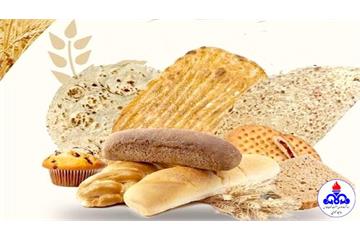 پویش ملی «تغذیه سالم» با محوریت نان سالم در نیمه دوم آذرماه اجرا می شود